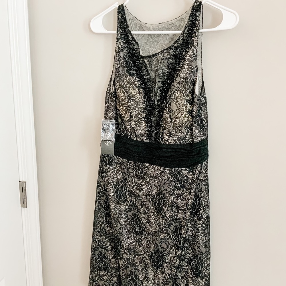NWT Hailey Adrianna Papell Lace Embellished Dress